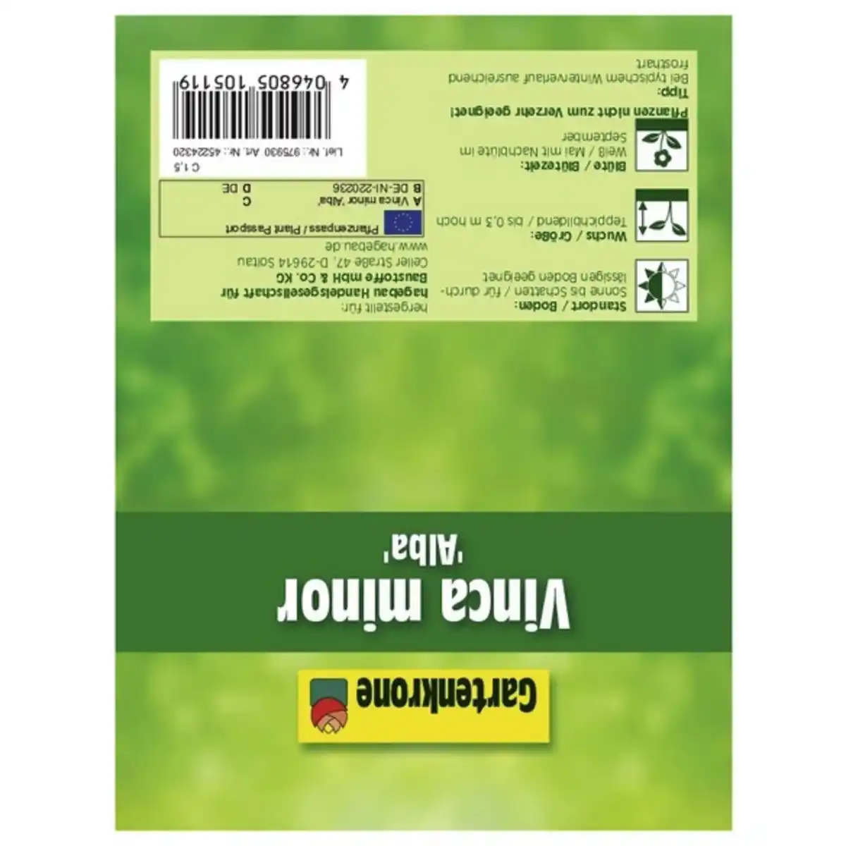 Bild 3 von Gartenkrone Kleinblättriges Immergrün, Vinca minor »Alba«, Blattfarbe: grün, Blüte: weiß