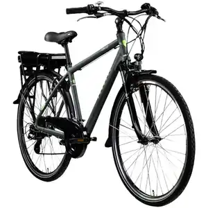 ZÜNDAPP E-Bike Trekking »Z802«, 28 Zoll, RH: 48 cm, 21-Gang