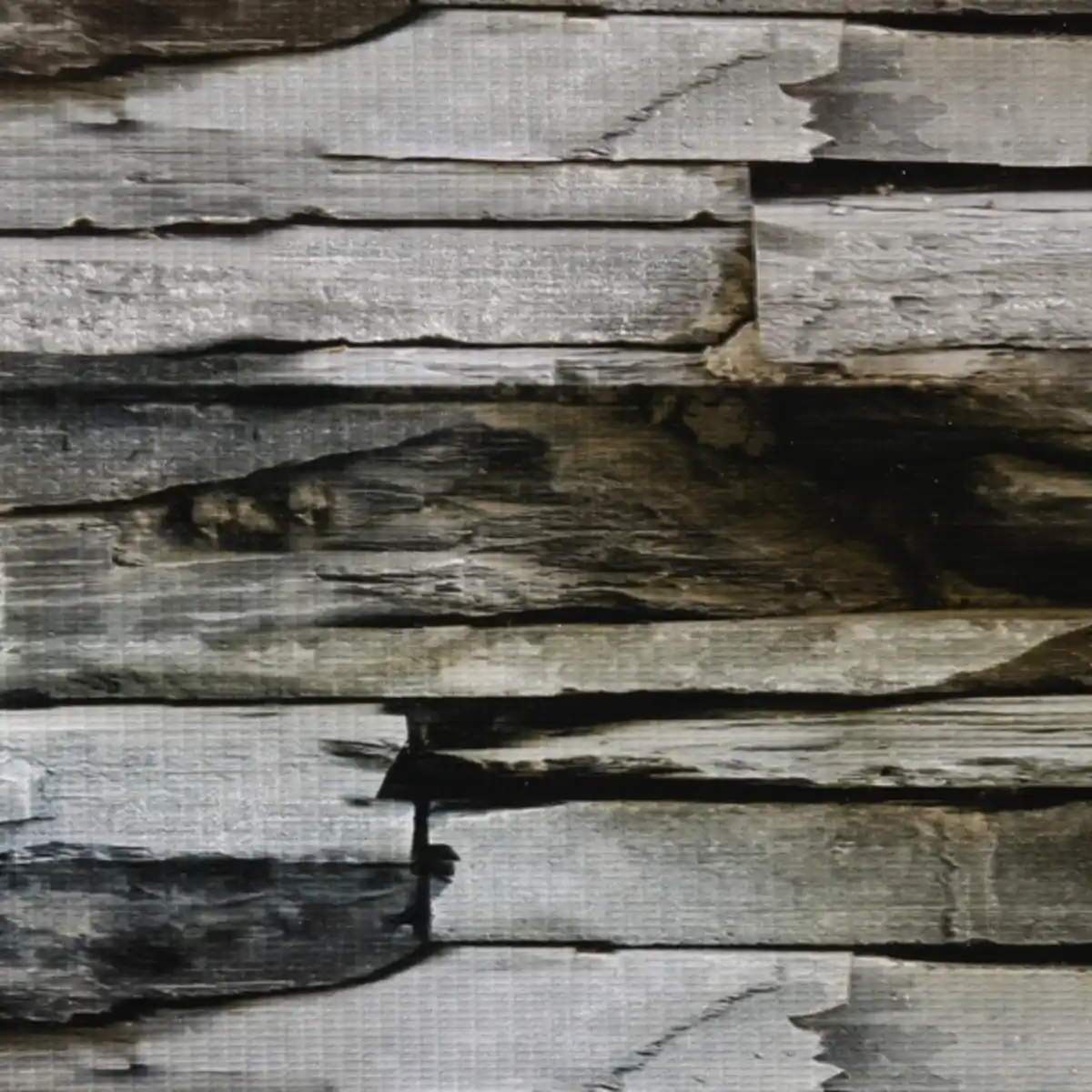 Bild 2 von FLORAWORLD Sichtschutzstreifen »standard«, PVC, LxH: 2050 x 19 cm