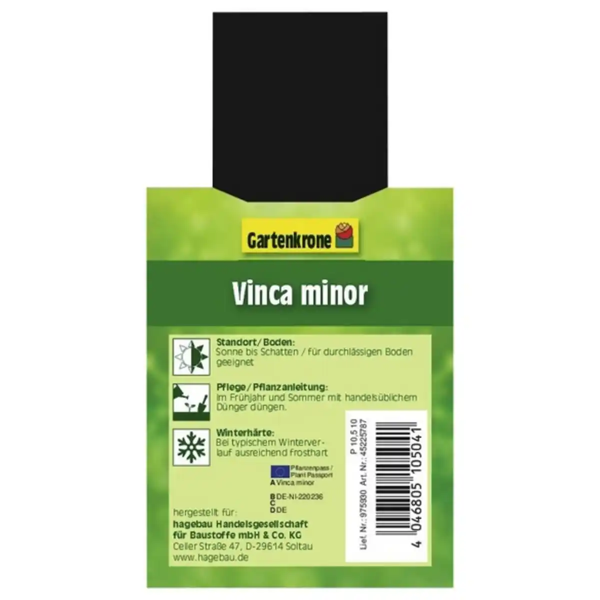 Bild 4 von Gartenkrone Kleinblättriges immergrün, Vinca minor, blau, winterhart