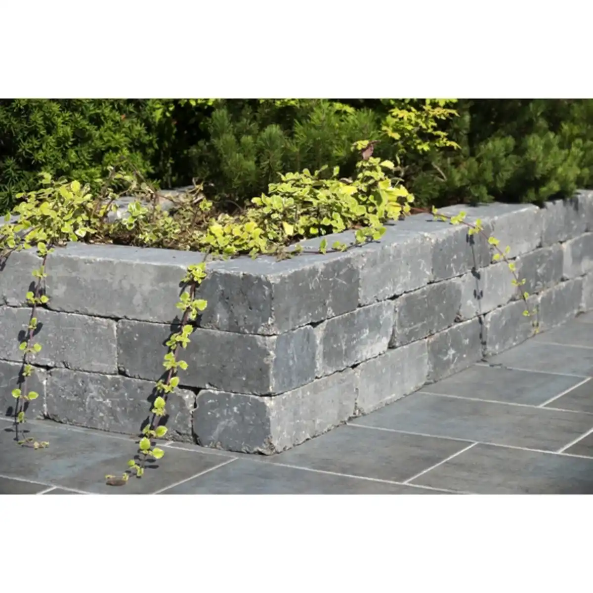 Bild 2 von Mr. GARDENER Mauerstein, BxHxL: 21 x 14 x 42 cm, Beton