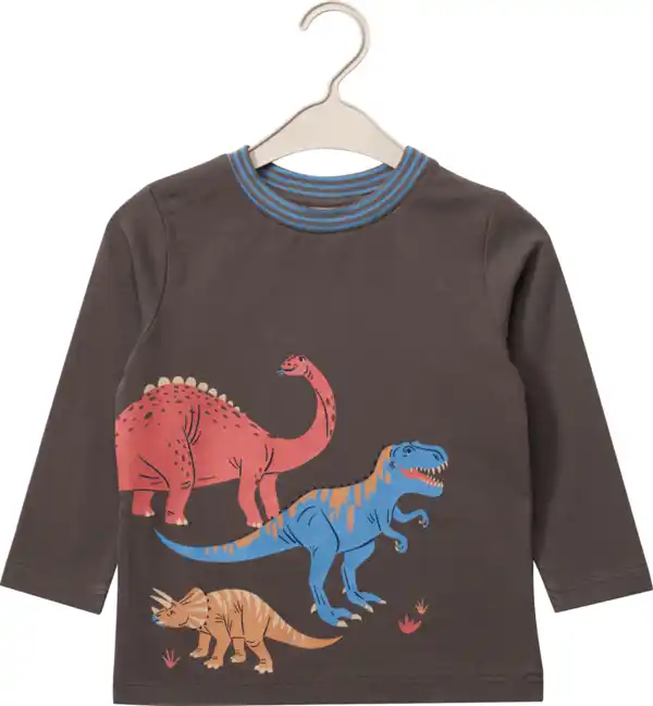 Bild 1 von ALANA Langarmshirt Pro Climate mit Dino-Motiv, grau, Gr. 104