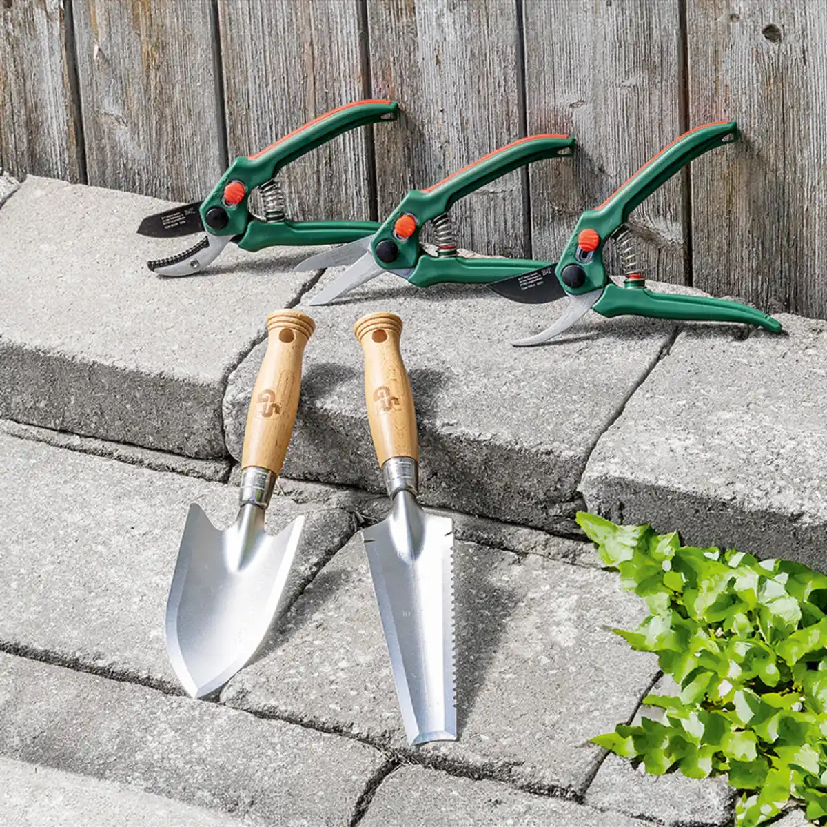 Bild 1 von Powertec Garden Gartenscheren /-geräte