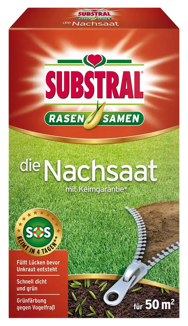 Bild 1 von Substral Rasensamen Die Nachsaat 1 kg für 50 m²