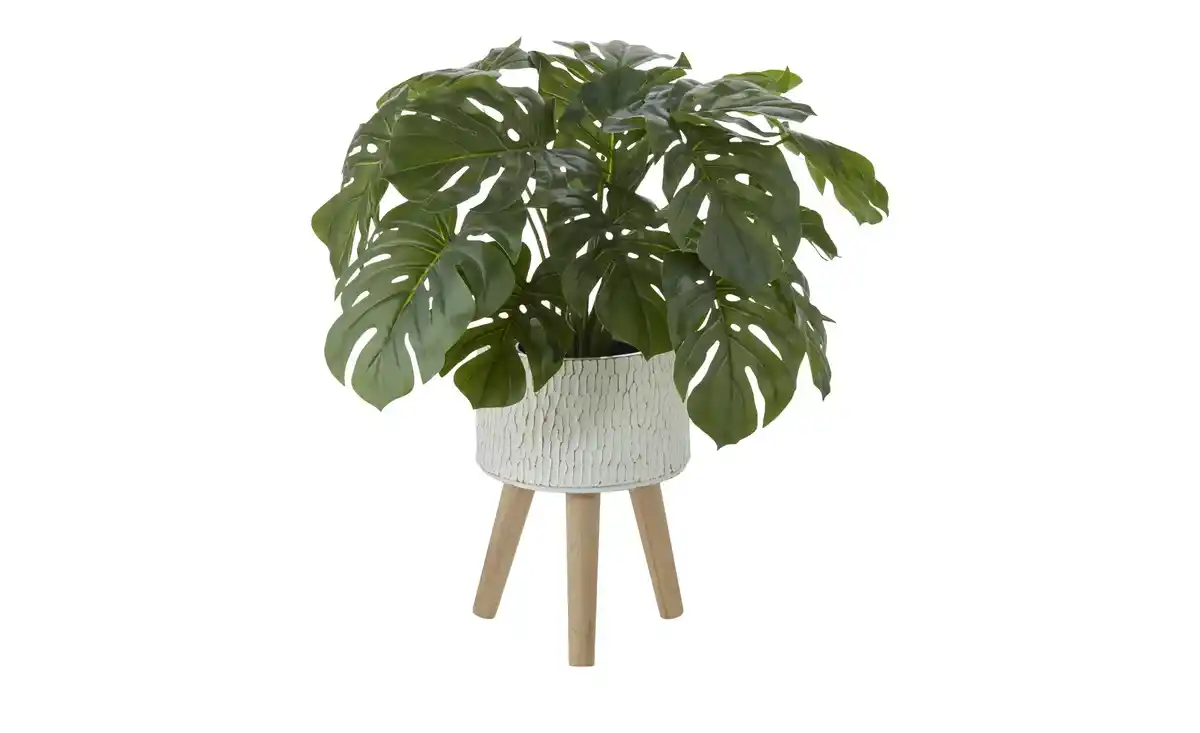 Bild 2 von HOME STORY Übertopf auf Holzbeinen