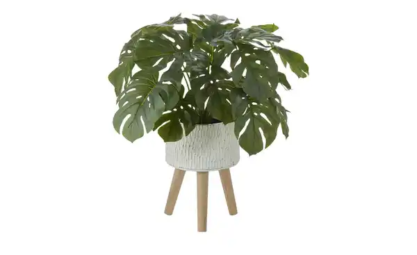 Bild 2 von HOME STORY Übertopf auf Holzbeinen