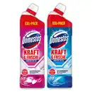 Bild 1 von Domestos WC-Gel XXL