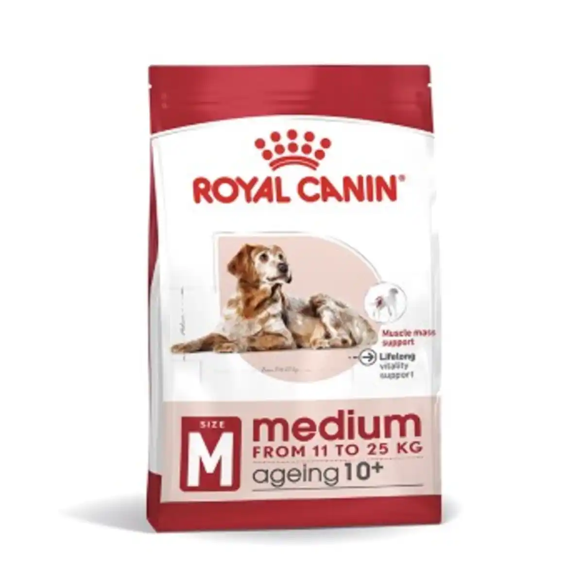 Bild 1 von ROYAL CANIN Medium Ageing 10+ 3 kg