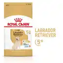 Bild 1 von ROYAL CANIN Labrador Retriever 5+ Adult 3 kg