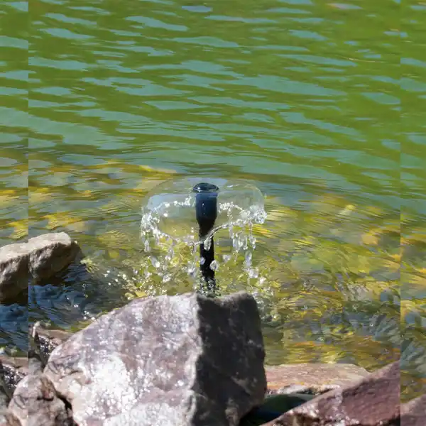 Bild 4 von Solar-Multifunktionspumpe