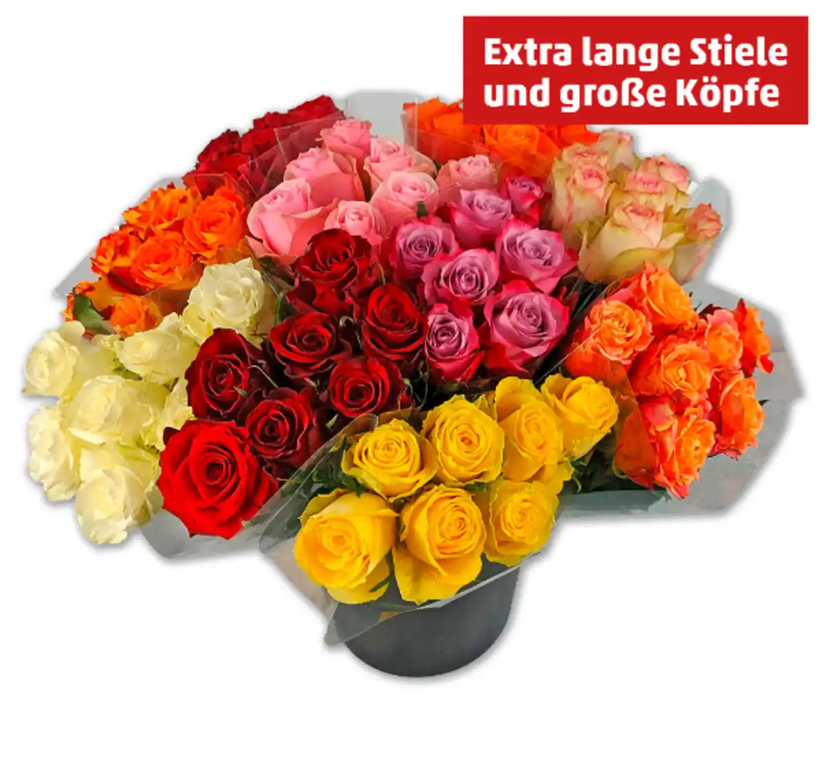 Bild 1 von Premium-Rosen*