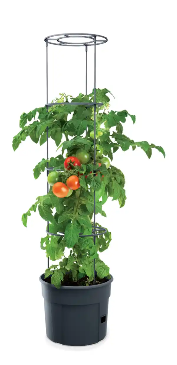 Bild 3 von Tomatenturm 28 Liter - Anthrazit 21-teilig