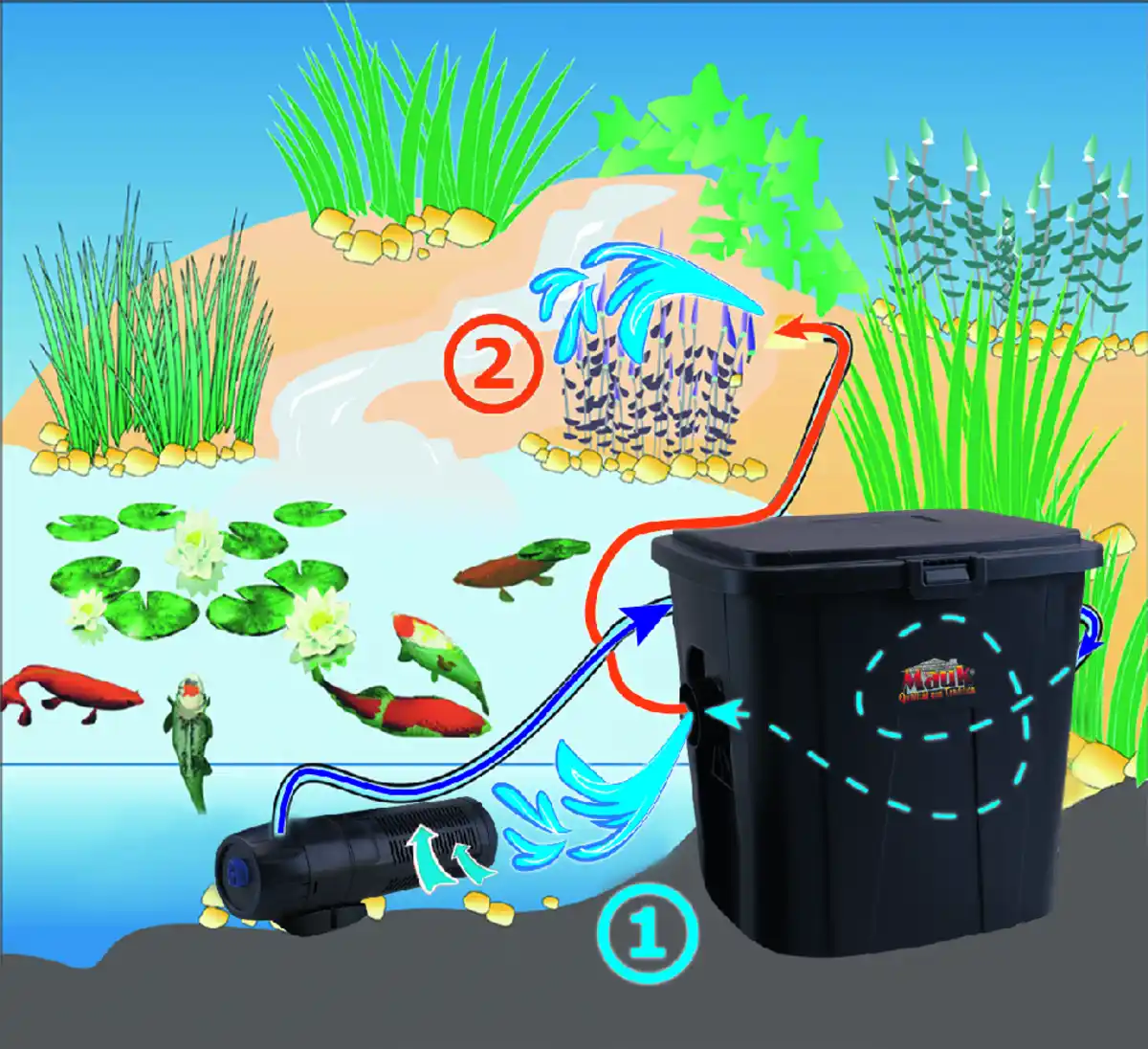 Bild 3 von Einstieg Teichdurchlauffilter-Set-ECO