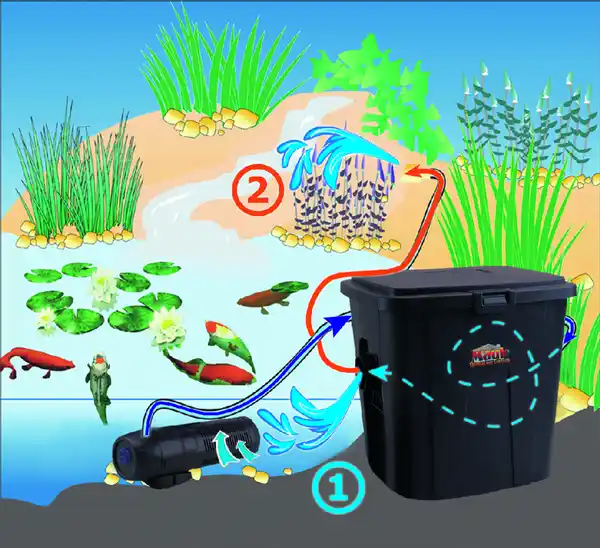 Bild 3 von Einstieg Teichdurchlauffilter-Set-ECO