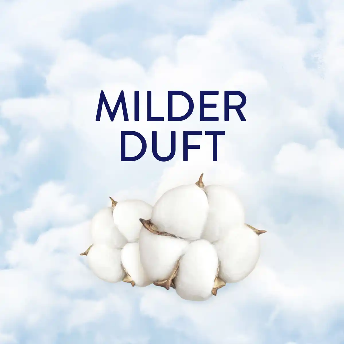 Bild 3 von Lenor Weichspüler Konzentrat Sensitiv 82 WL