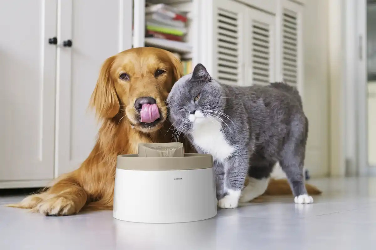 Bild 4 von IDEENWELT Elektrischer Tier-Trinkbrunnen