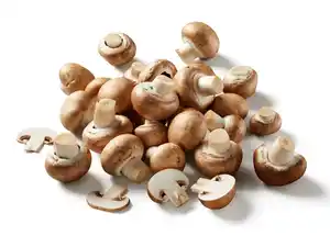 Braune Bio Kulturchampignons,  250 g