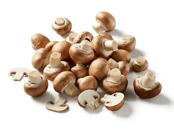 Bild 1 von Braune Bio Kulturchampignons,  250 g