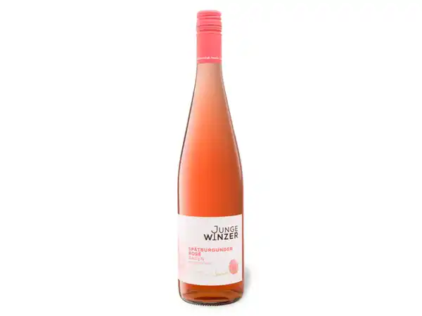 Bild 1 von Junge Winzer Spätburgunder Rosé Baden QbA halbtrocken, Roséwein 2022