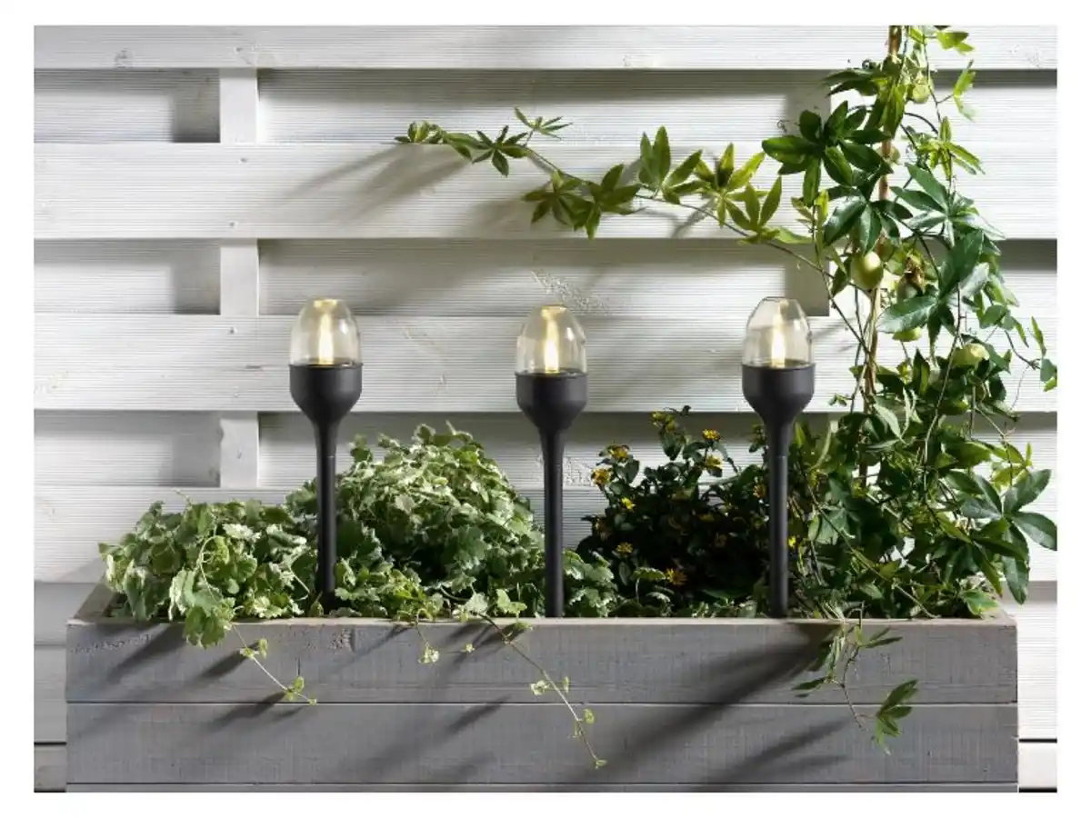 Bild 3 von LIVARNO home LED-Solar-Leuchten, für Garten, Terrasse oder Balkon