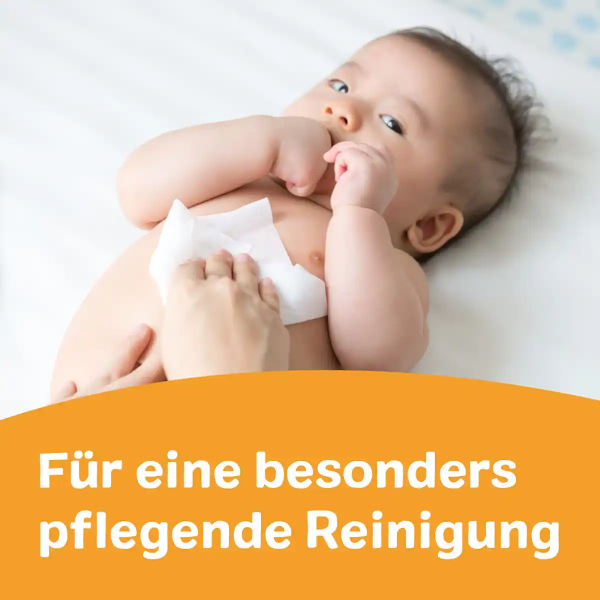 Bild 4 von Babydream Öl-Lotionstücher