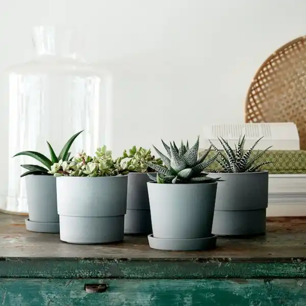 Bild 2 von NYPON Übertopf, drinnen/draußen grau 9 cm