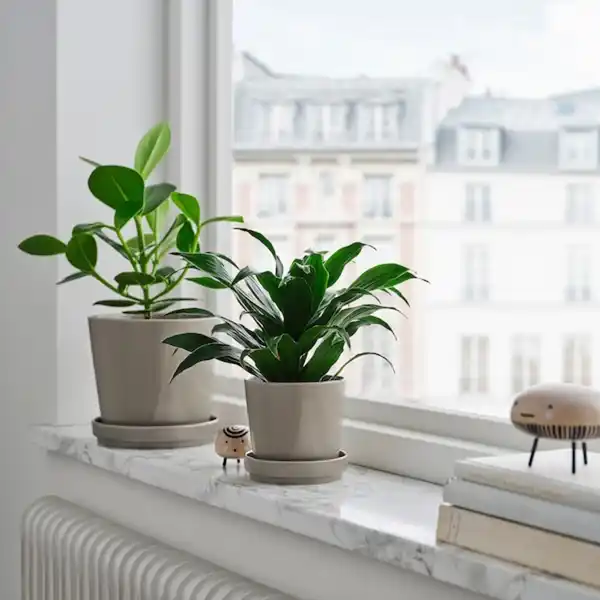 Bild 2 von KLOTLÖNN Blumentopf mit Untersetzer, drinnen/draußen/grau/beige 15 cm