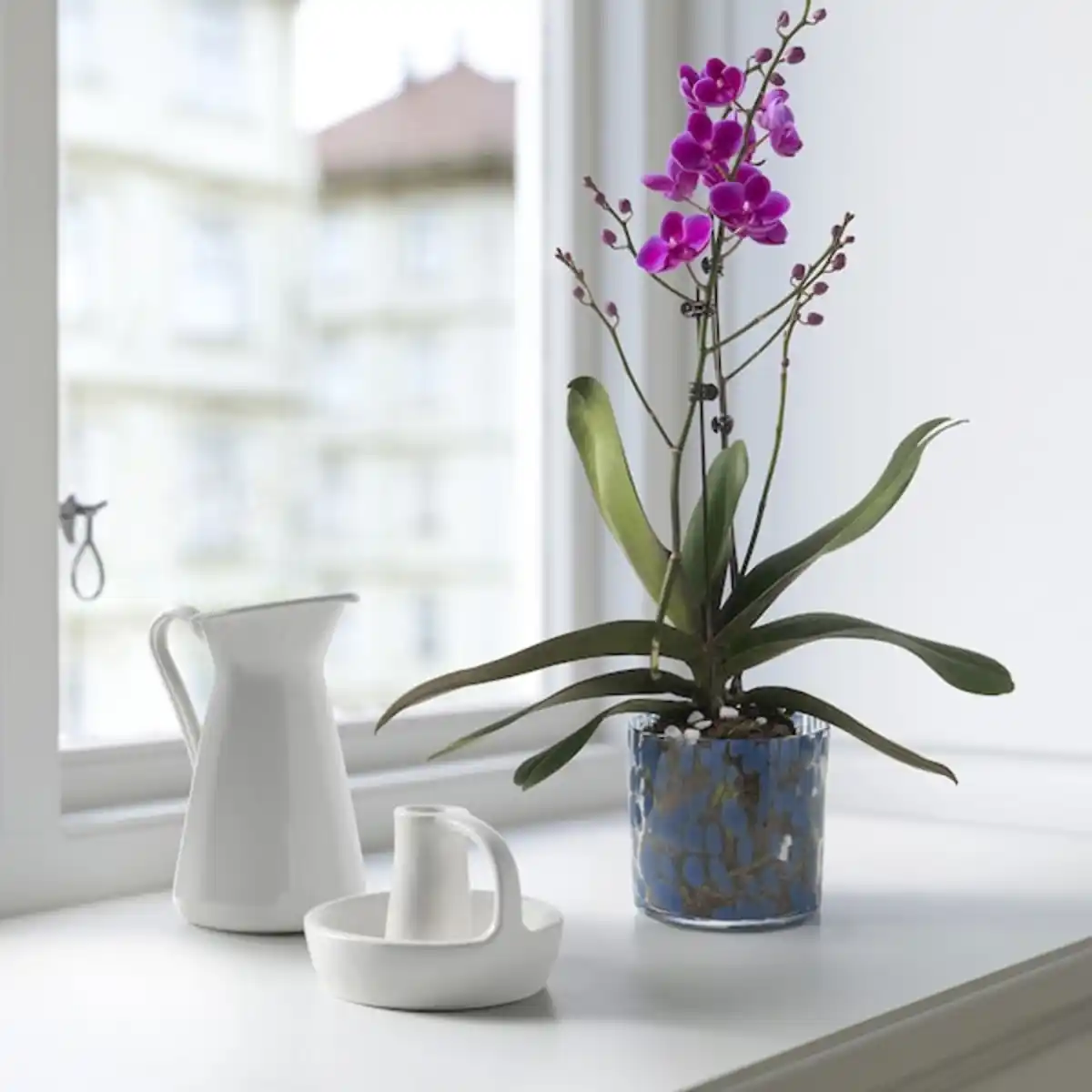 Bild 4 von ULLSYREN Übertopf, Punkte blau 12 cm