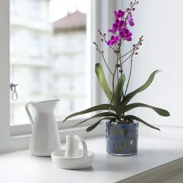 Bild 4 von ULLSYREN Übertopf, Punkte blau 12 cm