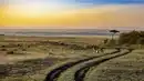 Bild 1 von Südafrika - Safariabenteuer in Südafrika & Eswatini - Rundreise - 14 Tage