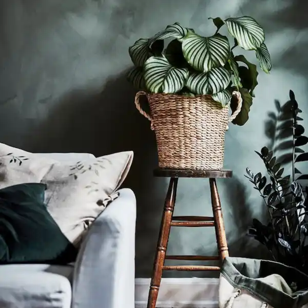 Bild 2 von TÖRNBÄR Übertopf, Bananenstaudenfaser Handarbeit 32 cm