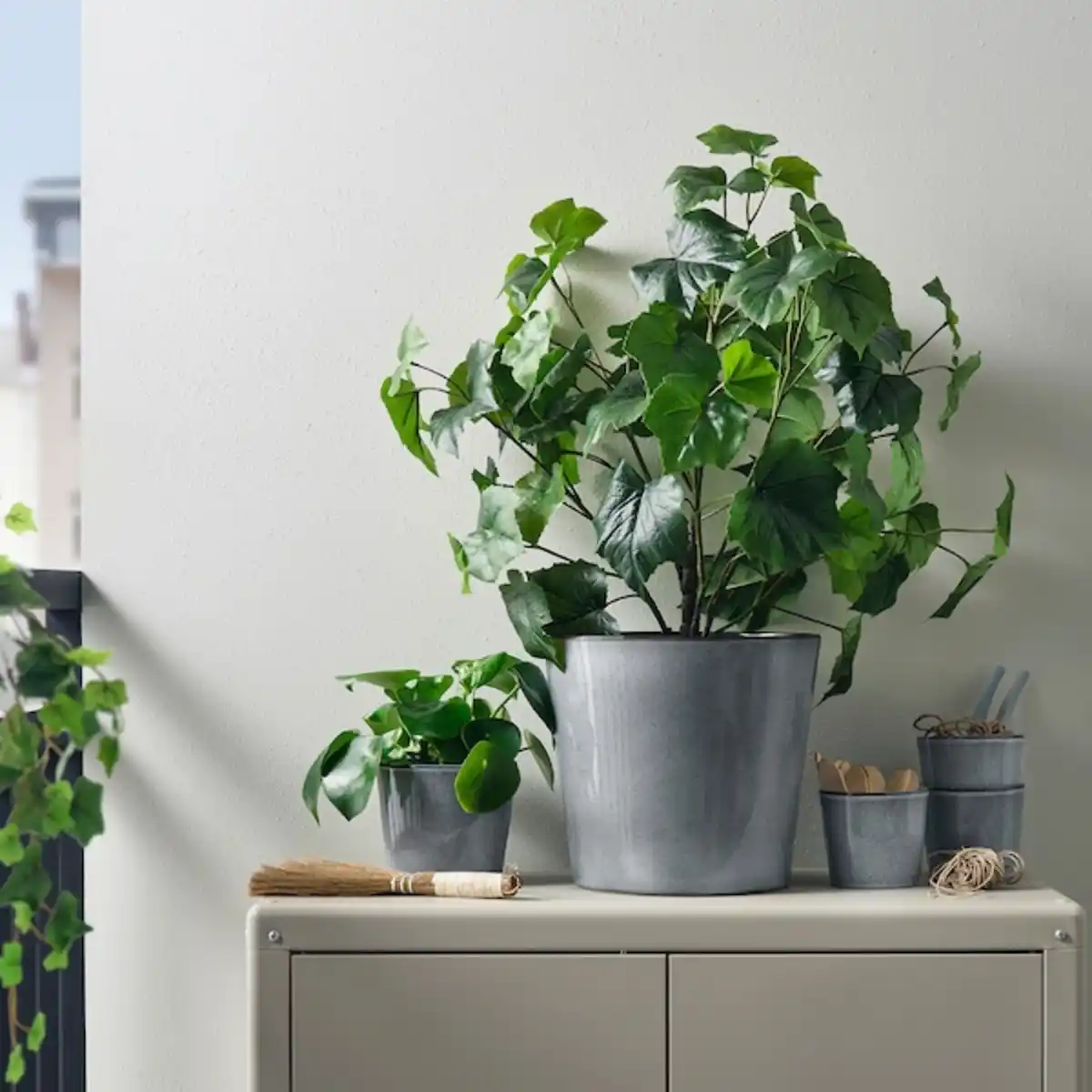 Bild 3 von FJÄRILSBUSKE Übertopf, drinnen/draußen/grau 24 cm