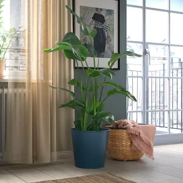 Bild 2 von ÅKERBÄR Übertopf, drinnen/draußen dunkelblau 32 cm