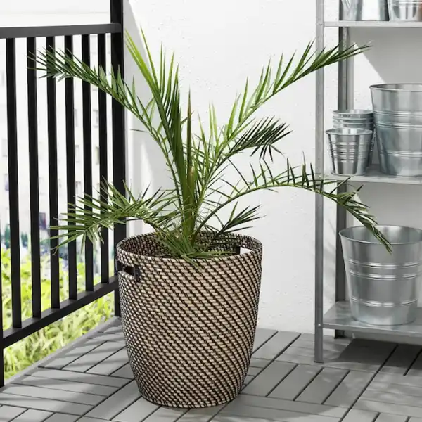 Bild 3 von RÅGKORN Übertopf, drinnen/draußen dunkelgrau/beige 32 cm