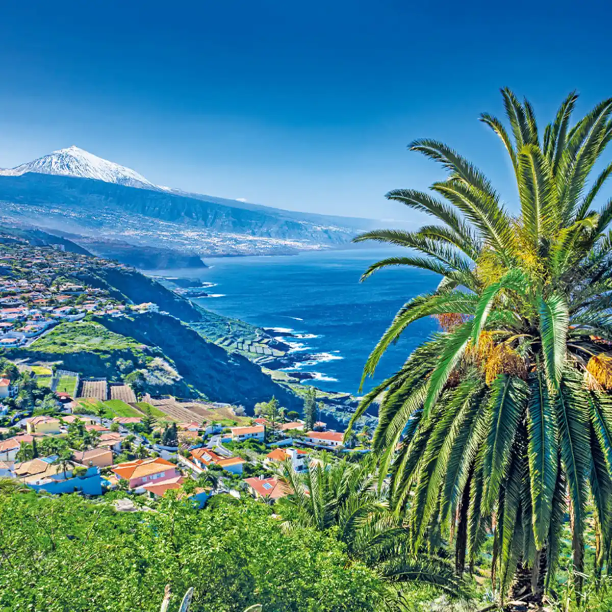 Bild 1 von Teneriffa - Unser Sonnen-Hit