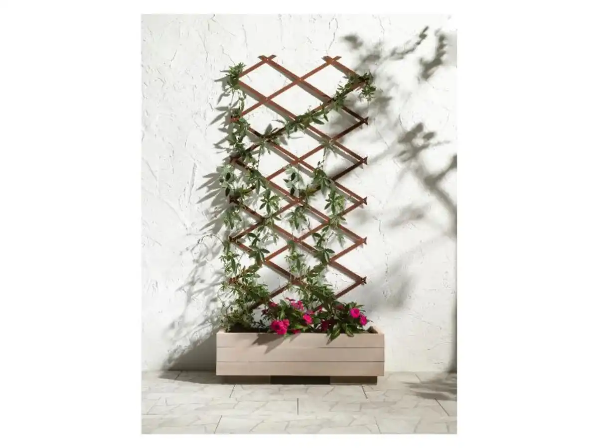 Bild 3 von PARKSIDE® Holz-Scherenspalier, vorbehandelt mit umweltfreundlicher Lasur