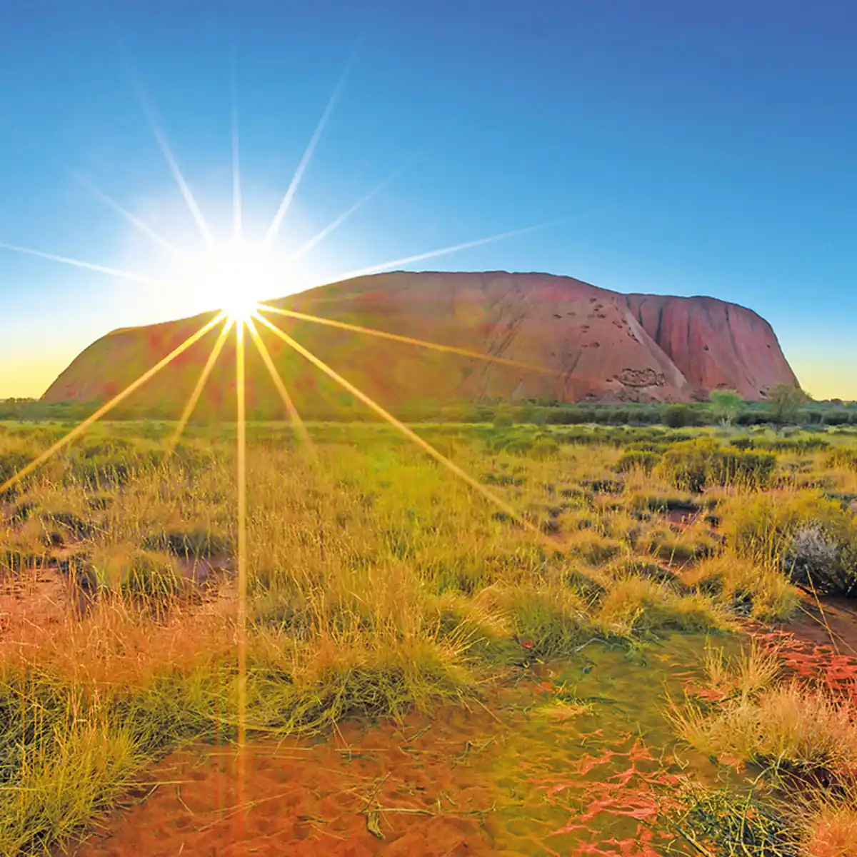 Bild 1 von Faszination Australien