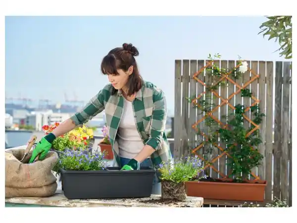 Bild 2 von PARKSIDE® Blumenkasten, mit regulierter Vorratsbewässerung, 60 cm