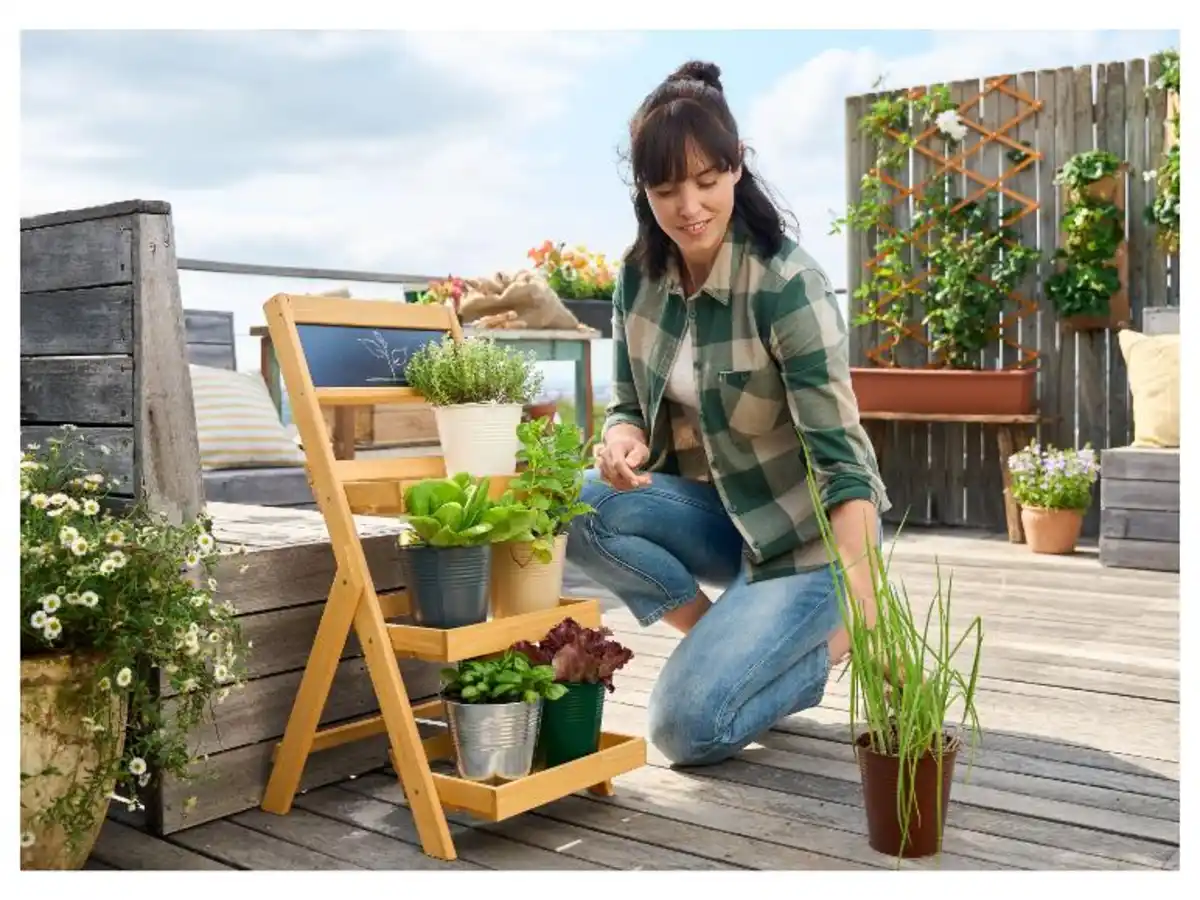 Bild 3 von LIVARNO home Pflanzentreppe, mit 3 Ebenen