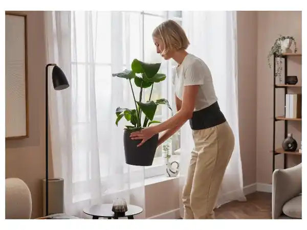 Bild 4 von sensiplast® Rückenbandage, Kniebandage