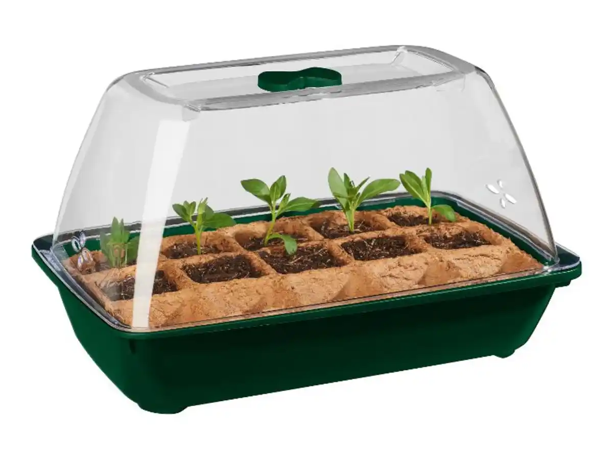 Bild 3 von PARKSIDE® Mini-Gewächshaus mit Bio-Saatgut