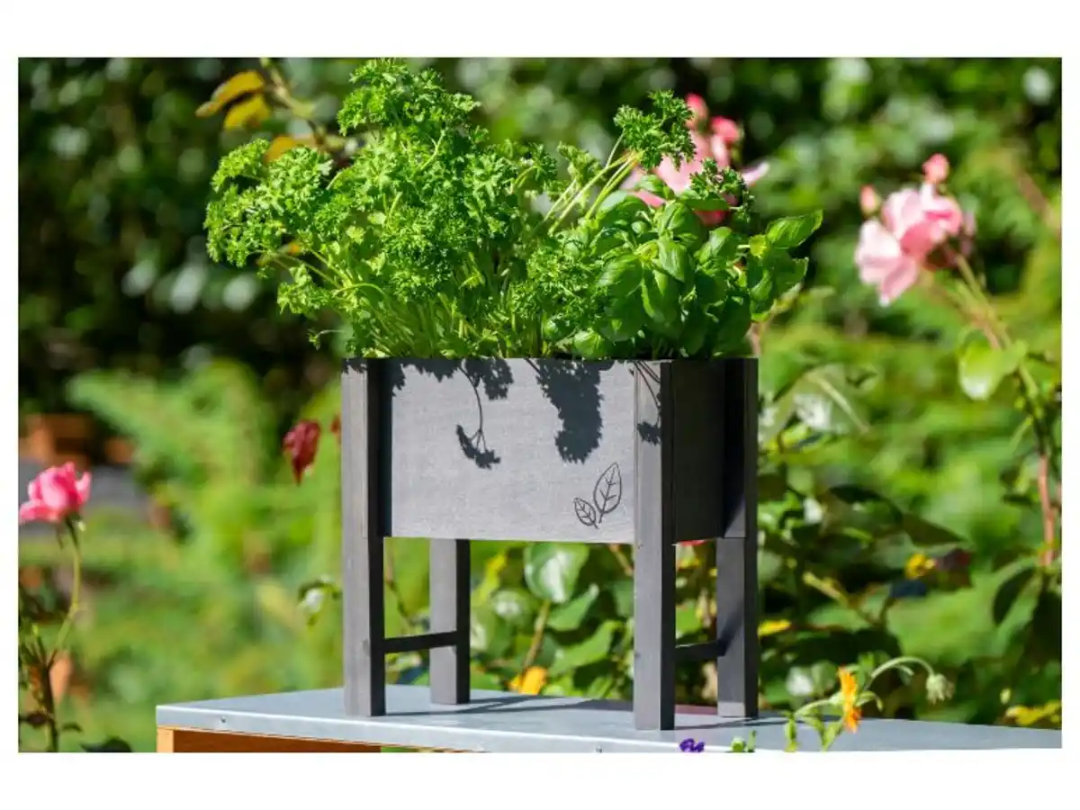 Bild 3 von dobar Tischbeet für Kräuter, 24 x 14 x 24 cm, aus Holz