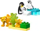 Bild 2 von LEGO DUPLO »Pinguine und Löwen« Bau- und Spielset 10442, 10-teilig