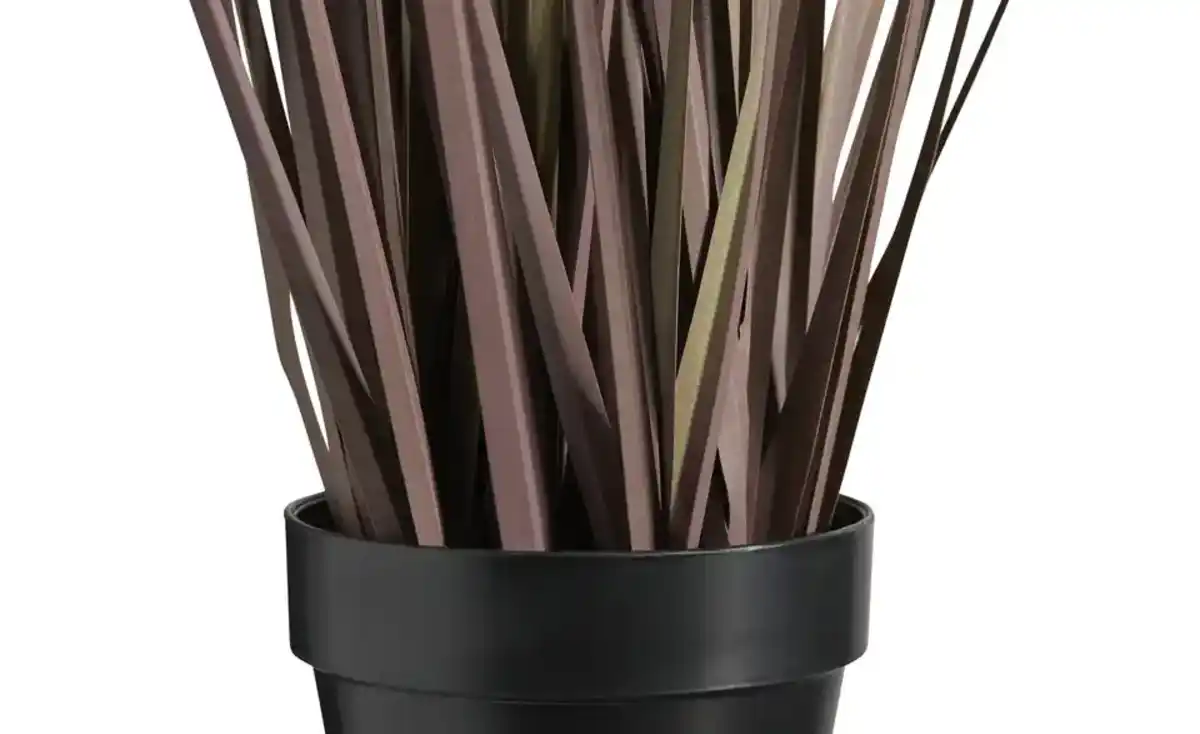 Bild 2 von Grasbüschel getopft   ¦ lila/violett ¦ Kunststoff ¦ Maße (cm): H: 67  Ø: 32.0 Dekoration > Kunstblumen - Möbel Kraft