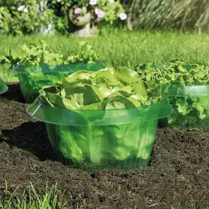 Garden Schnecken-Schutzring 6er