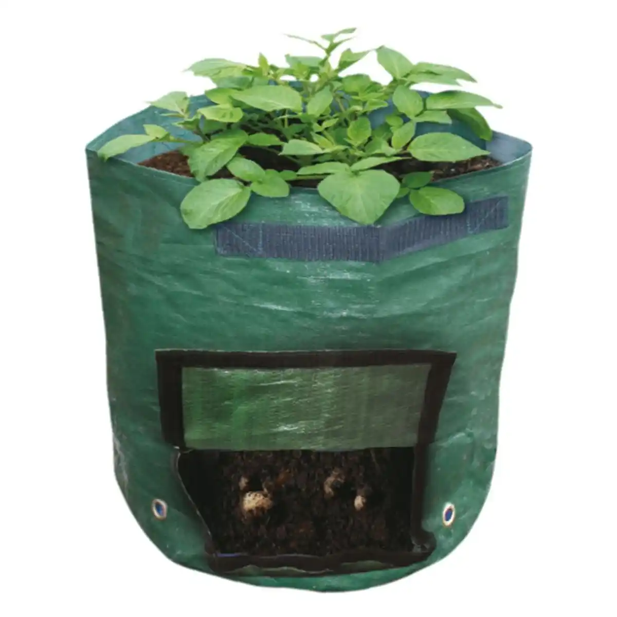 Bild 1 von Grüner Jan Kartoffel-Pflanzsack