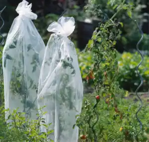 meister Tomaten-Haube