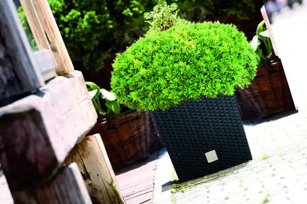 Bild 3 von Blumentopf in Rattanoptik eckig - Anthrazit 26 cm