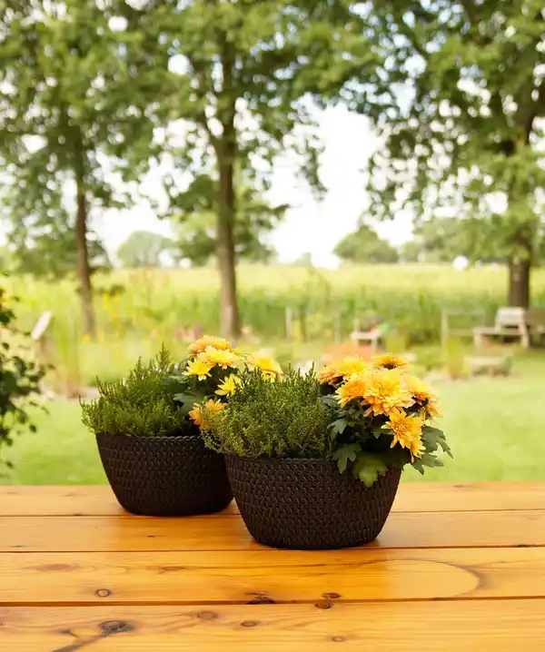 Bild 4 von Strickoptik-Blumentopf, Anthrazit - 2er-Set