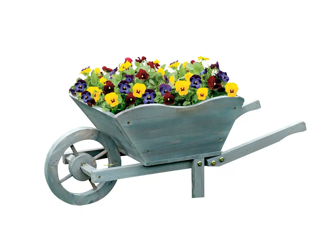 Bild 1 von Holz Pflanzschubkarre versch. Farben